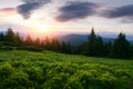 Picturesque summer landscape with colorful sunrise