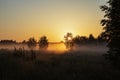 Picturesque summer landscape - first sun rays breaks through the tree branches at dawn. Golden misty morning in a field Royalty Free Stock Photo