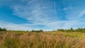 Summer landscape. Hilly field with dry grass in the foreground under a blue sky