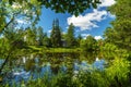 A picturesque summer landscape on the shore in the Priyutino estate. Vsevolozhsk. Leningrad region.