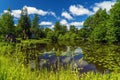 A picturesque summer landscape on the shore in the Priyutino estate. Vsevolozhsk. Leningrad region.