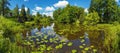 A picturesque summer landscape on the shore in the Priyutino estate. Vsevolozhsk. Leningrad region.