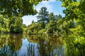 A picturesque summer landscape on the shore in the Priyutino estate. Vsevolozhsk. Leningrad region.