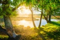 Scenic summer morning. Summer nature background. Bright sunshine at green leaves.