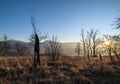 Picturesque sunset above late autumn mountain countryside.  Ukraine, Carpathian Mountains, old abandoned garden on hill top Royalty Free Stock Photo