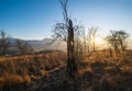 Picturesque sunset above late autumn mountain countryside.  Ukraine, Carpathian Mountains, old abandoned garden on hill top Royalty Free Stock Photo