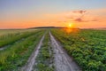 Picturesque sunset over agricultural fields. The road between crops Royalty Free Stock Photo