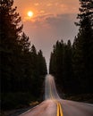 Picturesque sunset view of a winding road leading to a forest of pine trees Royalty Free Stock Photo