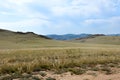 Picturesque Tazheranskaya steppe in summer, Baikal landscape