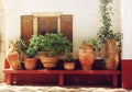 Plants in pots on a bench near a textured wall with a window, Greece, Crete Royalty Free Stock Photo