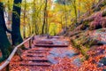 Picturesque tourist pathway in autumn forest. Saxon Switzerland National Park, Germany Royalty Free Stock Photo