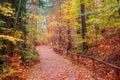 Picturesque tourist pathway in autumn forest. Saxon Switzerland National Park, Germany