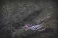 Picturesque trout under water