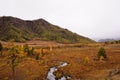 A picturesque valley with a flowing stream surrounded by high mountains overgrown with coniferous forest Royalty Free Stock Photo