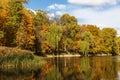 Picturesque view of the autumn forest, bright, colorful trees Royalty Free Stock Photo