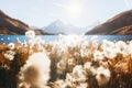 Picturesque view on Bachalpsee lake in Swiss Alps mountains Royalty Free Stock Photo