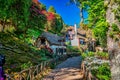 Picturesque view of a cobblestone walkway with lush foliage, leading up to quaint homes in Portugal