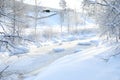 Picturesque view of frozen pond and trees covered with snow outdoors. Winter landscape Royalty Free Stock Photo