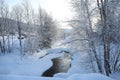 Picturesque view of frozen pond and trees covered with snow outdoors. Winter landscape Royalty Free Stock Photo