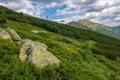 Picturesque view of a grassy mountain slope with an aerial cableway in the distance. Low Tatras.