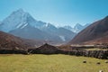 Picturesque view of green grass lawn pasture near the Pheriche village in the Khumbu region of eastern Nepal with majestic Ama