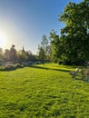 Picturesque view of green park with wooden bench on sunny morning Royalty Free Stock Photo