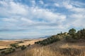 Picturesque view on hills with fields and olive trees, Tuscany, Italy. Royalty Free Stock Photo