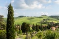 Lush, green hillside with cypress trees in the Val D`Orchia, Italy. Royalty Free Stock Photo