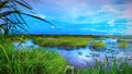 A picturesque view of Ikop lake in Thoubal district of Manipur state India