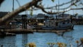 Picturesque view of a large boat docked near a pier, seen through tree branches