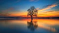 Picturesque view of leafless lonely tree growing and reflecting in calm lake at sundown time Royalty Free Stock Photo