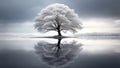 Picturesque view of leafless lonely tree growing and reflecting in lake Royalty Free Stock Photo
