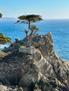 Picturesque view of the Lone Cypress Tree on 17 Mile Drive in California Royalty Free Stock Photo