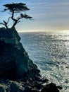 Picturesque view of the Lone Cypress Tree on 17 Mile Drive in California Royalty Free Stock Photo