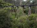 Picturesque view of Monbulk Creek Trestle Bridge in Belgrave, Australia