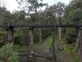 Picturesque view of Monbulk Creek Trestle Bridge in Belgrave, Australia