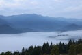 Picturesque view of mountains and forest covered with fog in morning Royalty Free Stock Photo