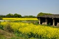 Picturesque view of an old abandoned shack situated in rural Chinese countryside