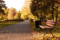 Picturesque view of park with pathway, beautiful trees and bench. Autumn season