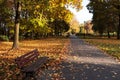 Picturesque view of park with pathway, beautiful trees and bench. Autumn season