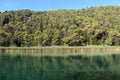 Picturesque view of the river Krka, Croatia