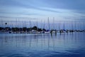 Picturesque view of sailboats in Downtown St. Pete, FL