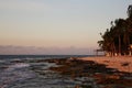 Picturesque view of sea and tropical palms under sky lit by sunset