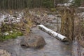 Trunk of a birch lies in a trout stream Royalty Free Stock Photo