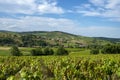 Village of Saint-VÃÂ©rand in the Beaujolais vineyard in the SaÃÂ´ne-et-Loire department in summer Royalty Free Stock Photo