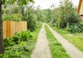 Picturesque village landscape, rural road leading along the fence and trees, into the distance, summer day