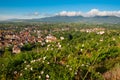 Historical village of Obernai in alsace in france