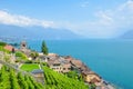 Picturesque village St. Saphorin in Lavaux wine region, Switzerland. Terraced vineyards on slopes by beautiful Geneva Lake, in Royalty Free Stock Photo