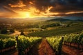 Picturesque Vineyard landscape. Generate Ai Royalty Free Stock Photo