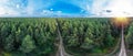 Picturesque and vivid view of evergreen pine forest and blue sky with white clouds Royalty Free Stock Photo